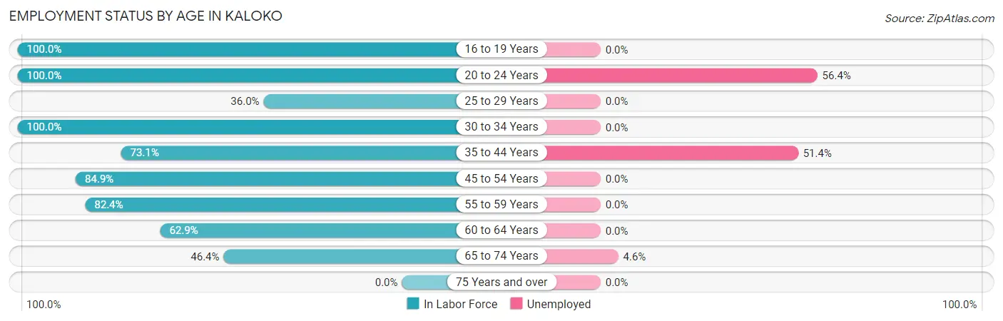 Employment Status by Age in Kaloko