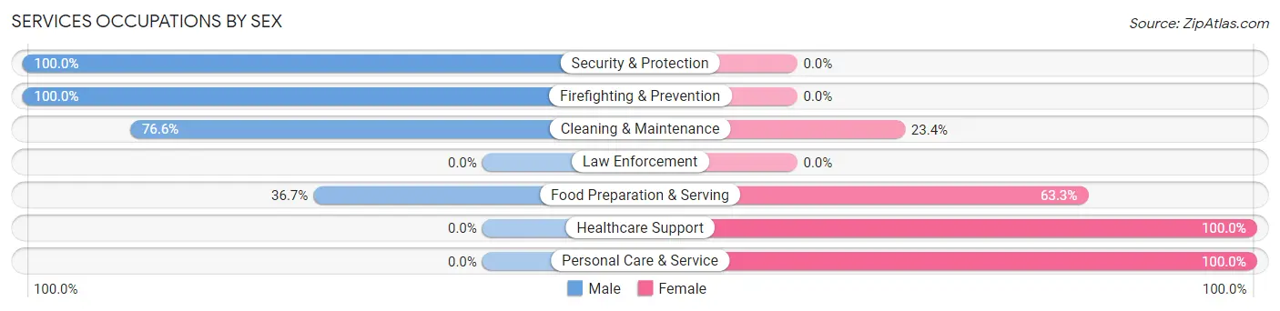 Services Occupations by Sex in Kaloko