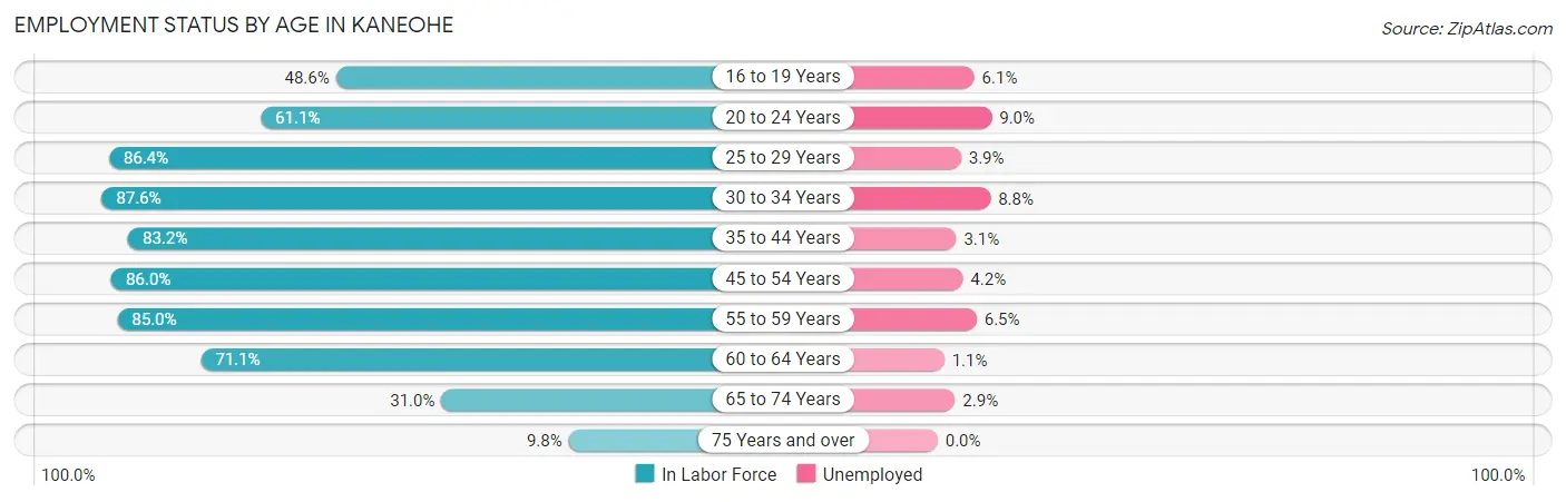Employment Status by Age in Kaneohe