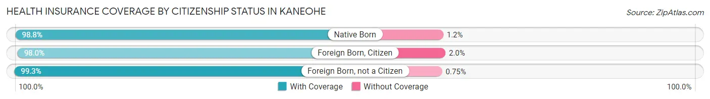 Health Insurance Coverage by Citizenship Status in Kaneohe