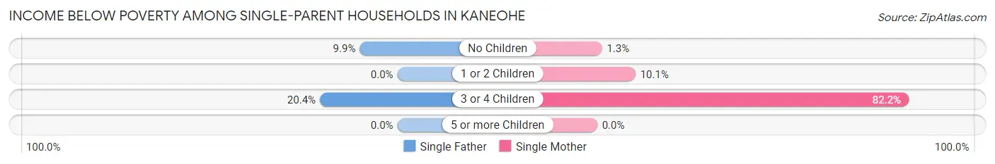 Income Below Poverty Among Single-Parent Households in Kaneohe