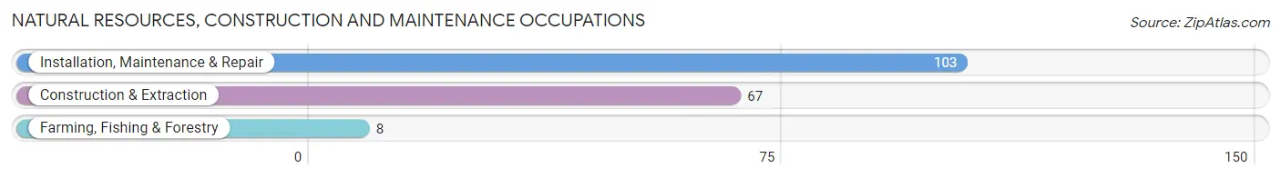 Natural Resources, Construction and Maintenance Occupations in Kaunakakai