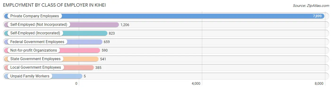 Employment by Class of Employer in Kihei