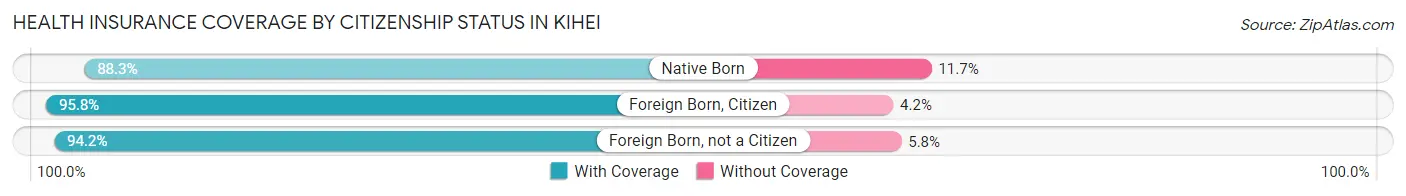 Health Insurance Coverage by Citizenship Status in Kihei