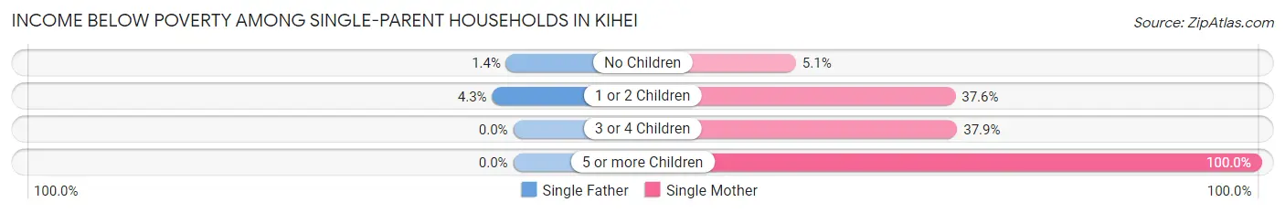 Income Below Poverty Among Single-Parent Households in Kihei