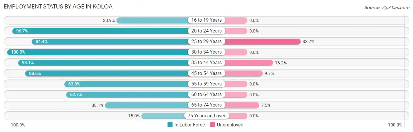 Employment Status by Age in Koloa