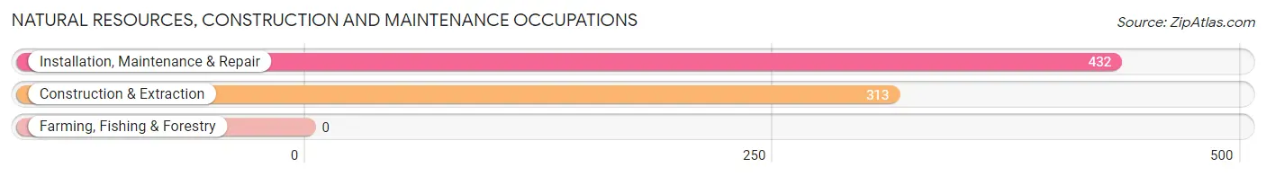 Natural Resources, Construction and Maintenance Occupations in Lahaina