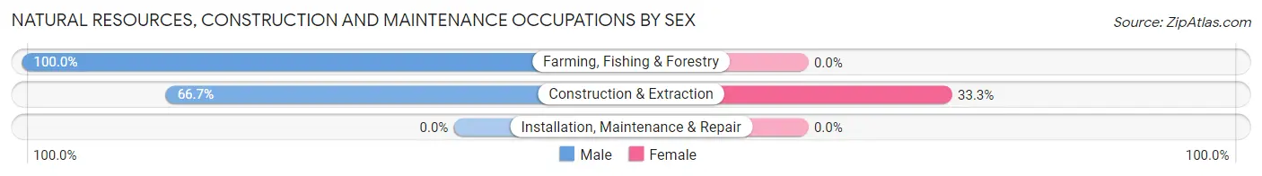 Natural Resources, Construction and Maintenance Occupations by Sex in Maunaloa