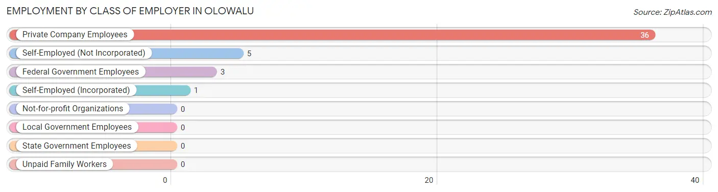 Employment by Class of Employer in Olowalu