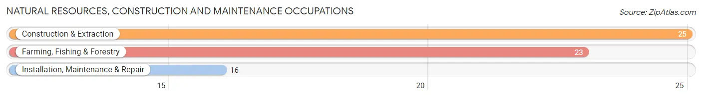 Natural Resources, Construction and Maintenance Occupations in Paauilo