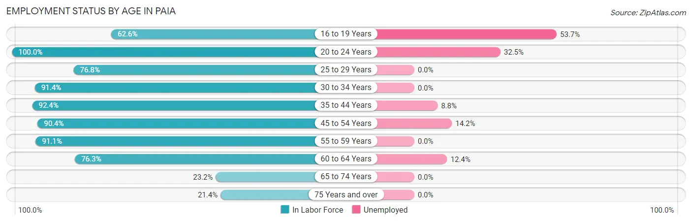 Employment Status by Age in Paia