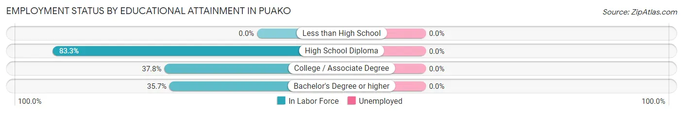 Employment Status by Educational Attainment in Puako