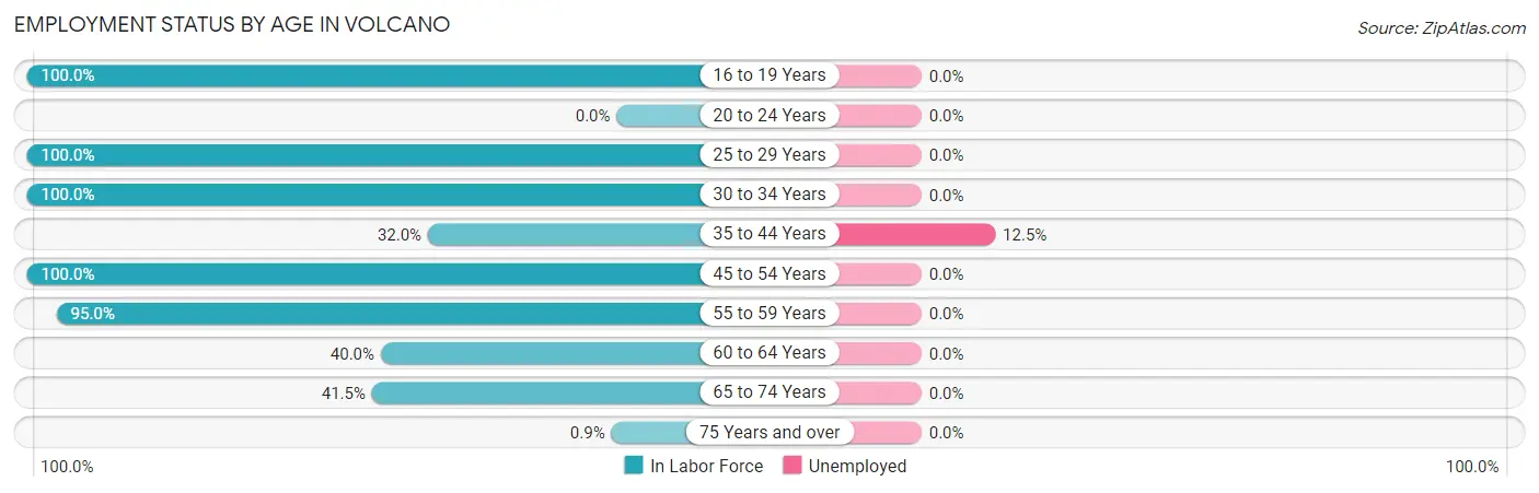 Employment Status by Age in Volcano