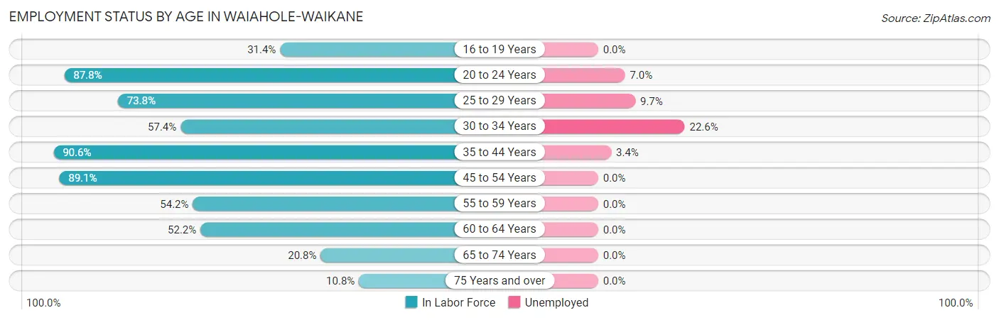 Employment Status by Age in Waiahole-Waikane