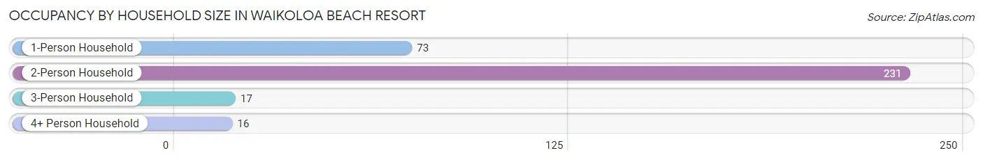Occupancy by Household Size in Waikoloa Beach Resort