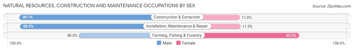 Natural Resources, Construction and Maintenance Occupations by Sex in Wailuku