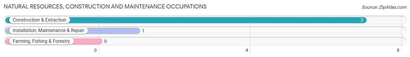 Natural Resources, Construction and Maintenance Occupations in Ackworth