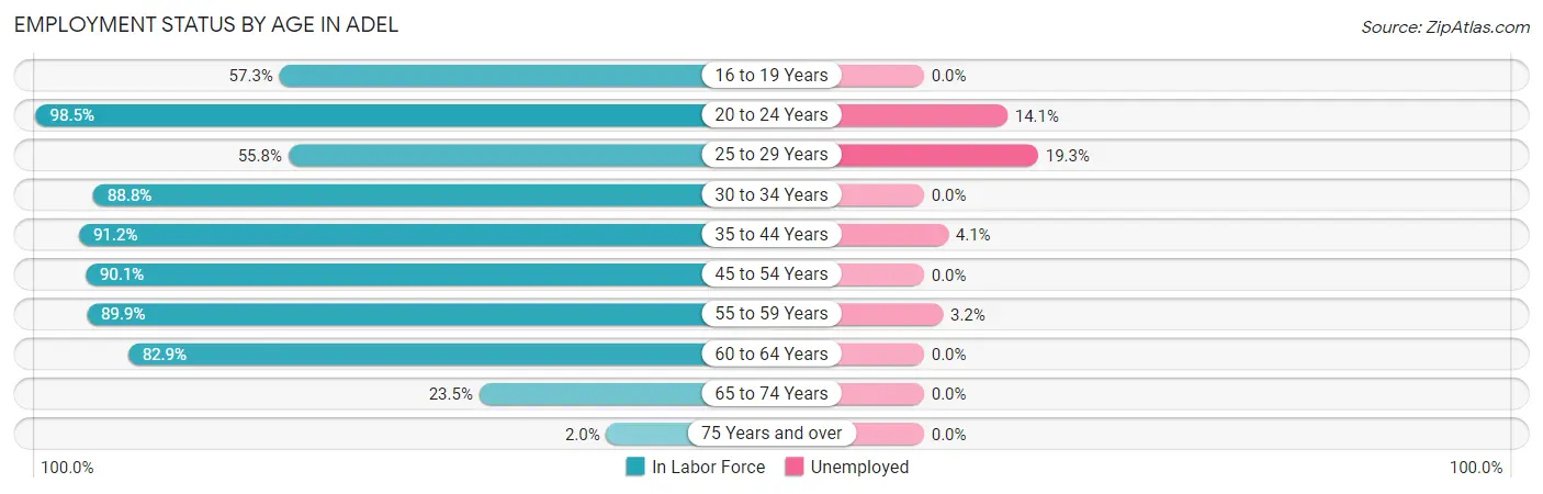 Employment Status by Age in Adel
