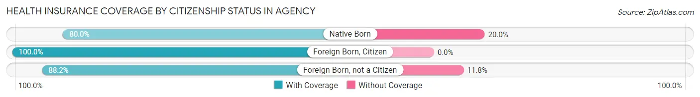 Health Insurance Coverage by Citizenship Status in Agency