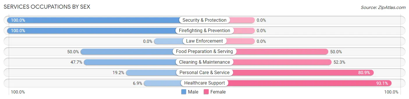 Services Occupations by Sex in Akron