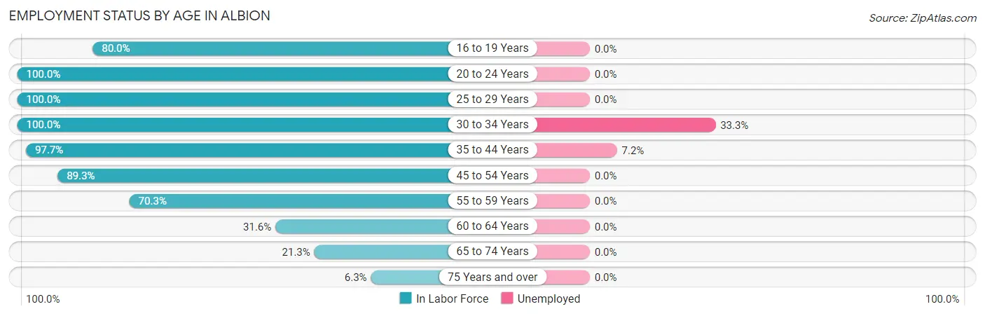 Employment Status by Age in Albion