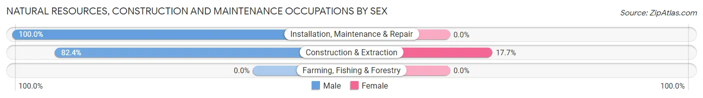 Natural Resources, Construction and Maintenance Occupations by Sex in Alleman