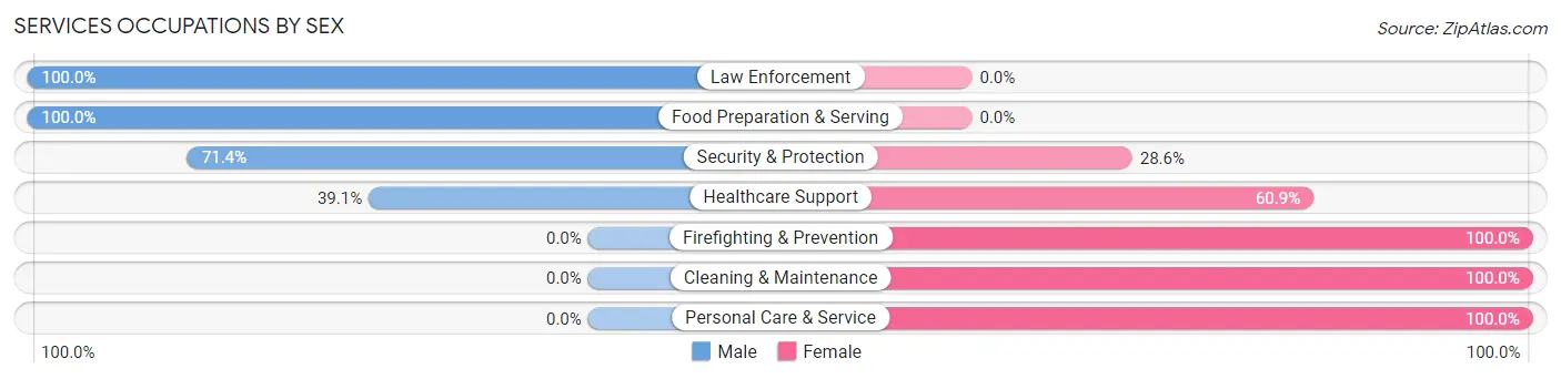 Services Occupations by Sex in Allison