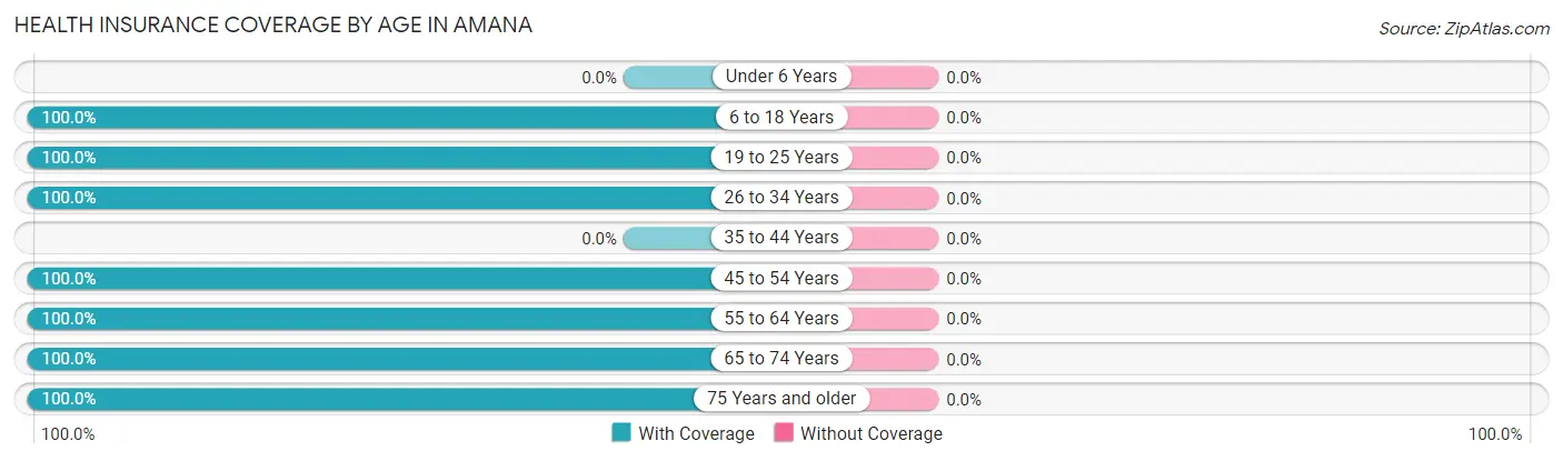 Health Insurance Coverage by Age in Amana