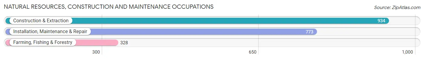 Natural Resources, Construction and Maintenance Occupations in Ames