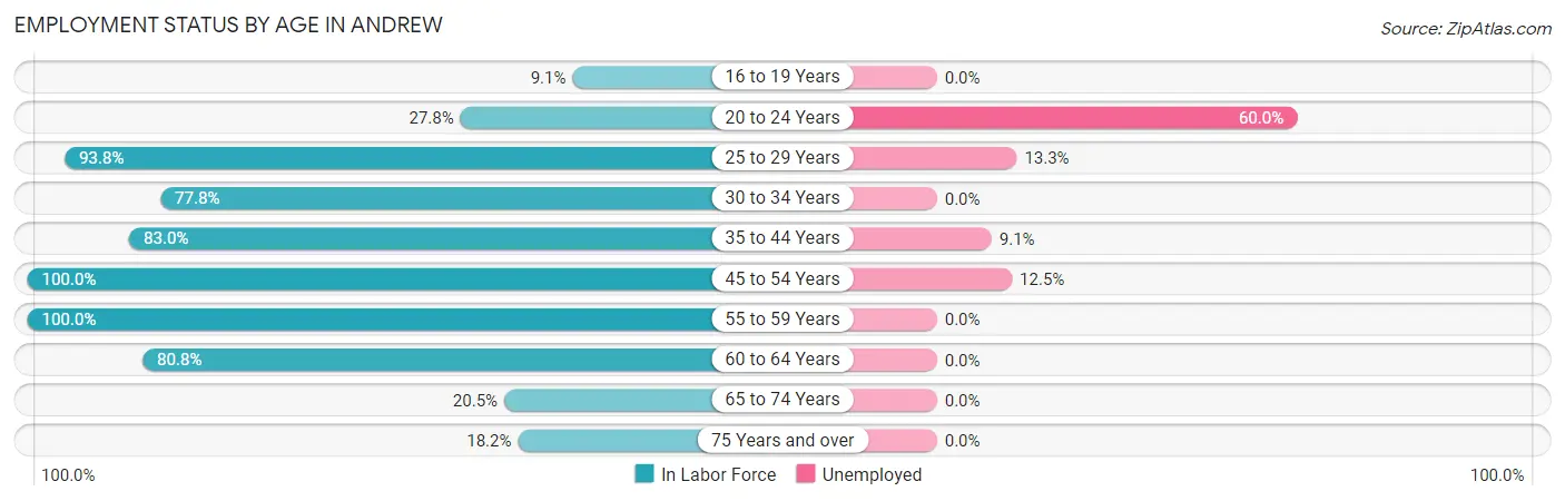 Employment Status by Age in Andrew
