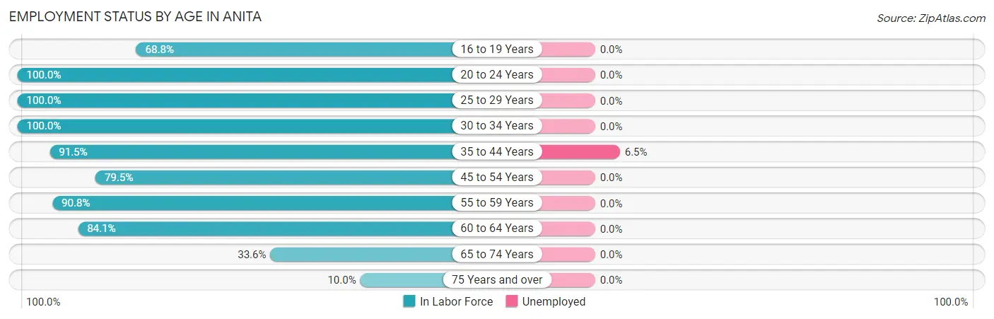 Employment Status by Age in Anita
