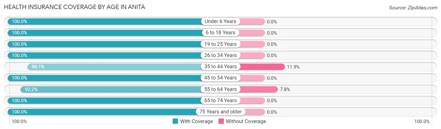 Health Insurance Coverage by Age in Anita