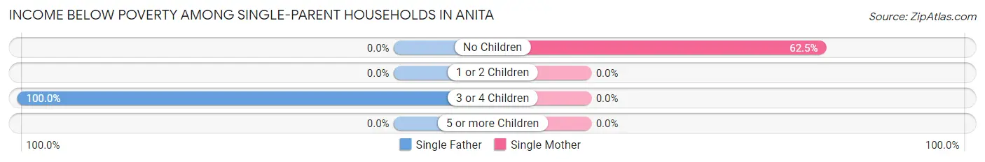 Income Below Poverty Among Single-Parent Households in Anita