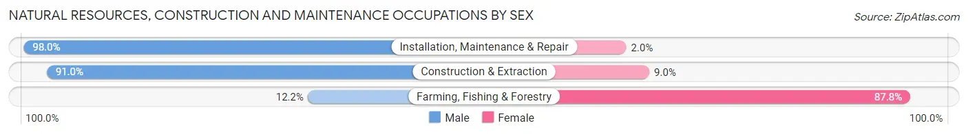 Natural Resources, Construction and Maintenance Occupations by Sex in Ankeny