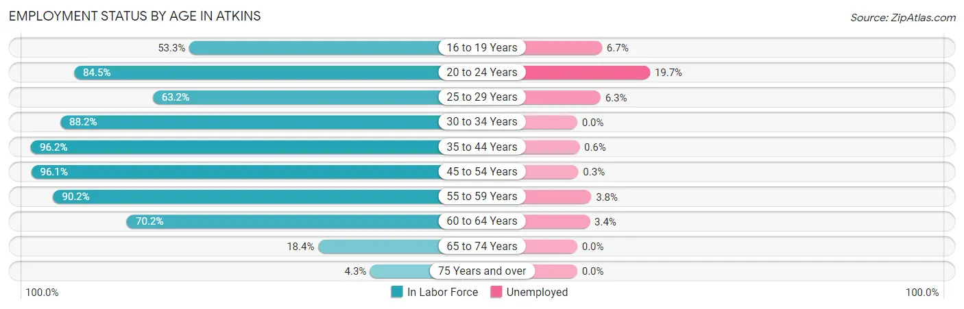 Employment Status by Age in Atkins