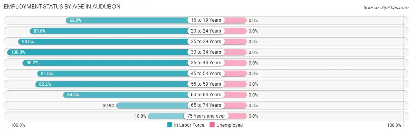 Employment Status by Age in Audubon