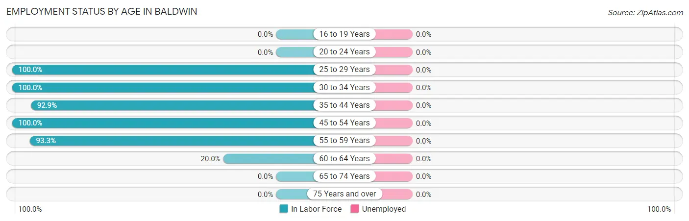 Employment Status by Age in Baldwin