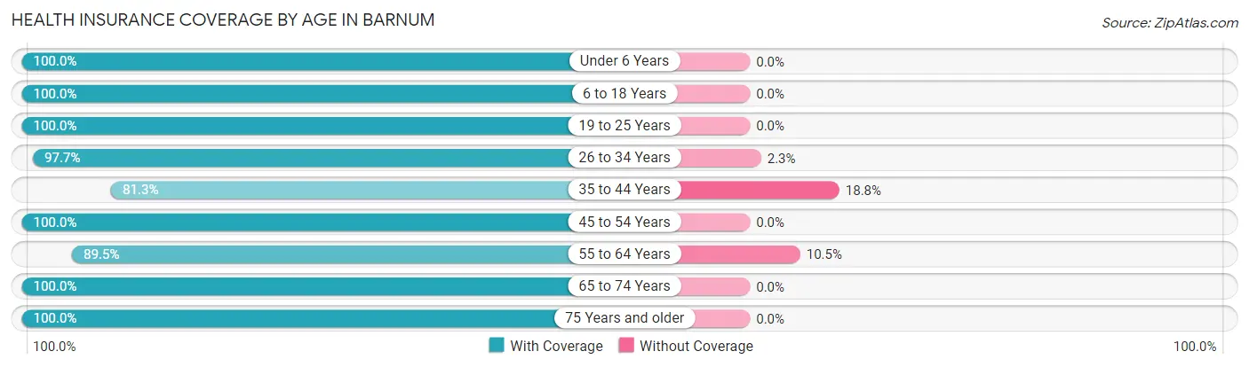Health Insurance Coverage by Age in Barnum