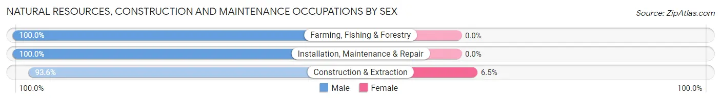 Natural Resources, Construction and Maintenance Occupations by Sex in Baxter