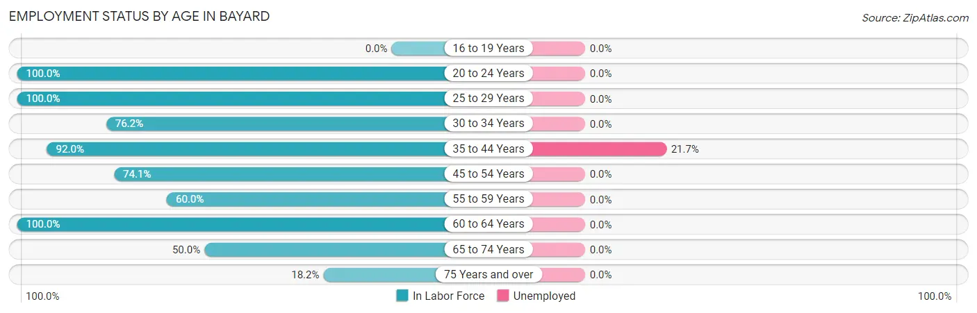 Employment Status by Age in Bayard