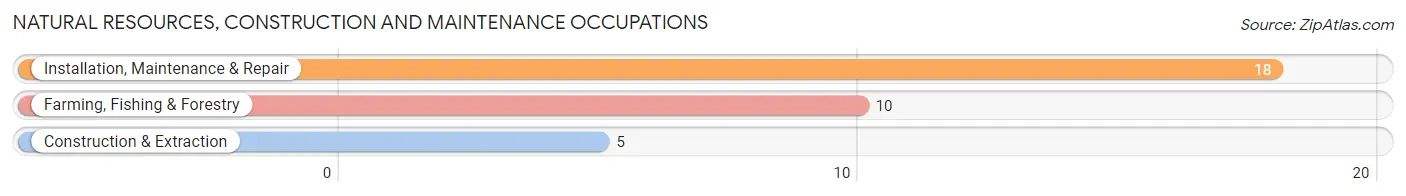 Natural Resources, Construction and Maintenance Occupations in Bayard