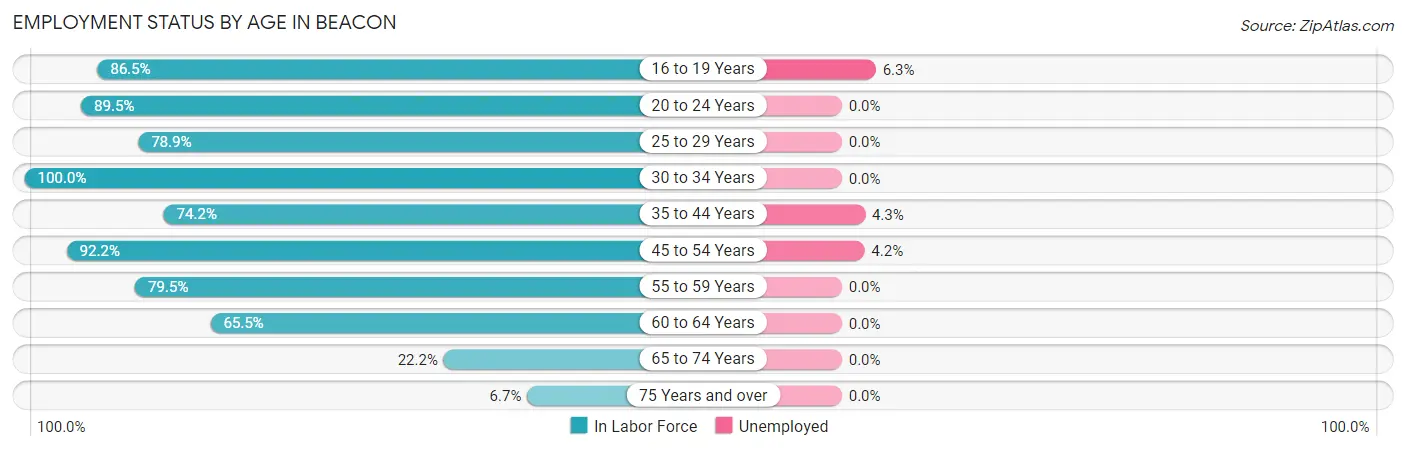 Employment Status by Age in Beacon