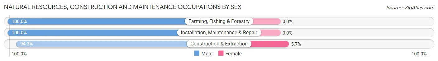 Natural Resources, Construction and Maintenance Occupations by Sex in Bedford