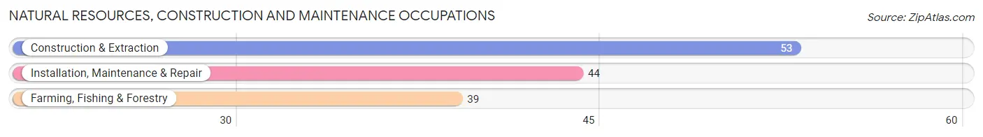 Natural Resources, Construction and Maintenance Occupations in Bellevue