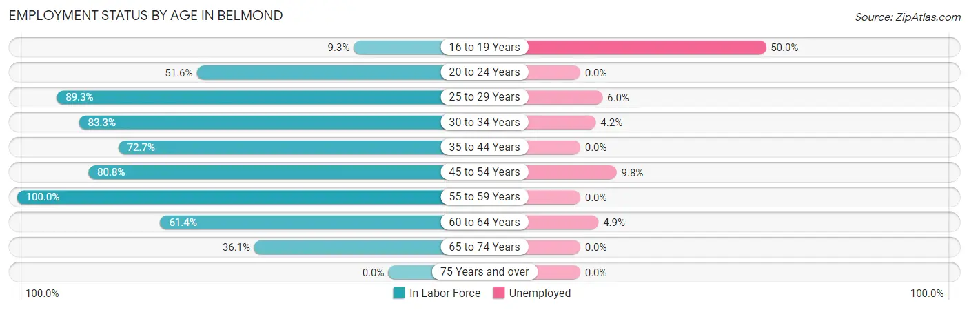 Employment Status by Age in Belmond