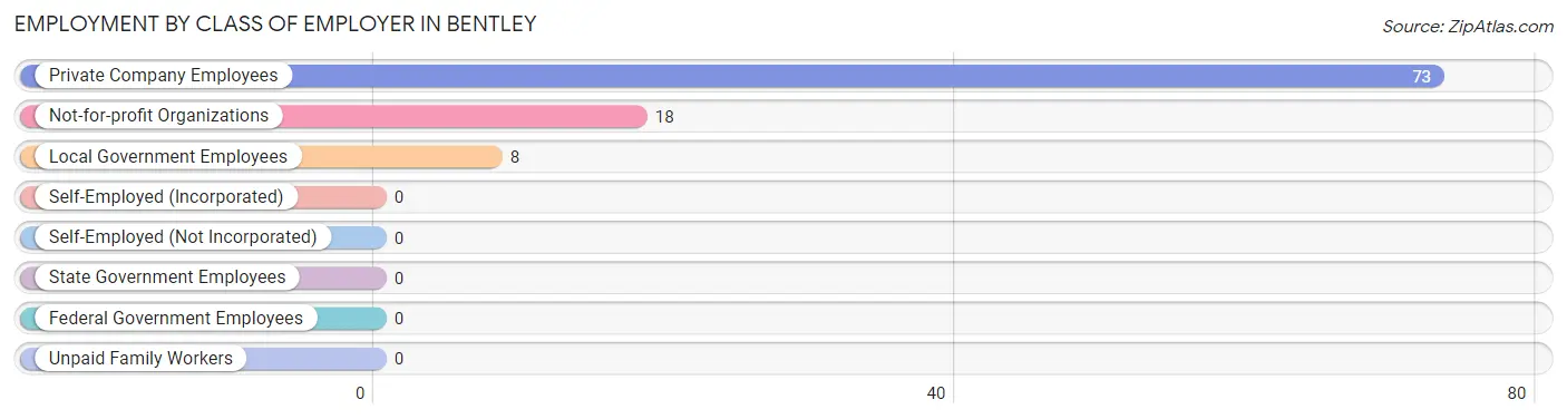 Employment by Class of Employer in Bentley