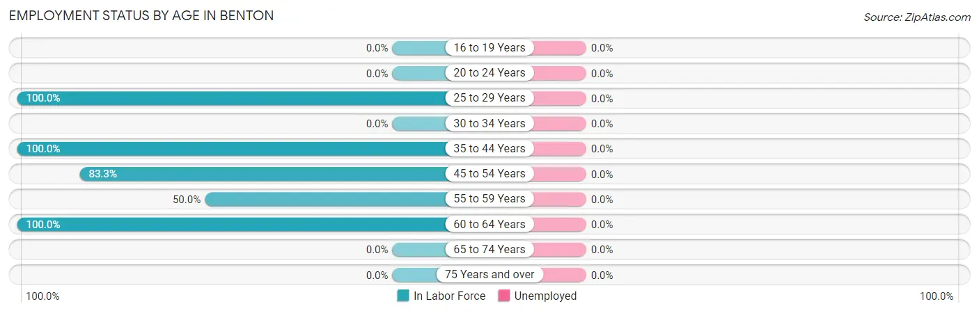 Employment Status by Age in Benton