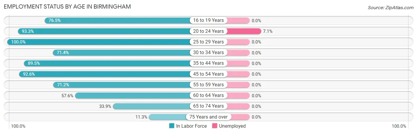 Employment Status by Age in Birmingham