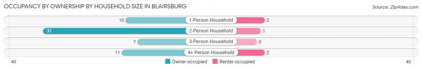 Occupancy by Ownership by Household Size in Blairsburg