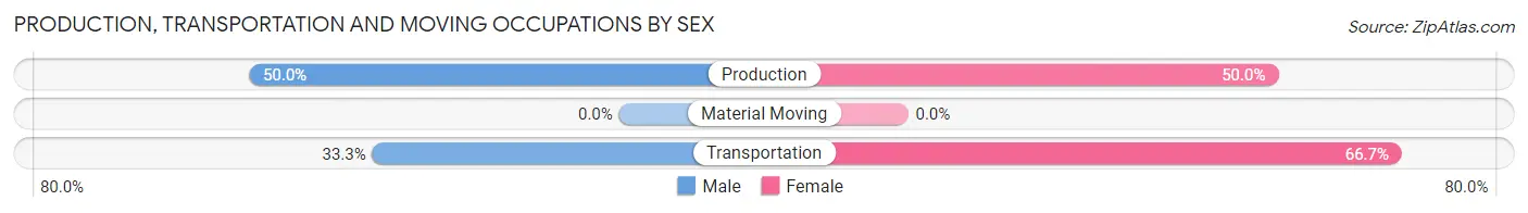 Production, Transportation and Moving Occupations by Sex in Blairsburg
